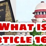 What is Article 162 of the Indian Constitution?