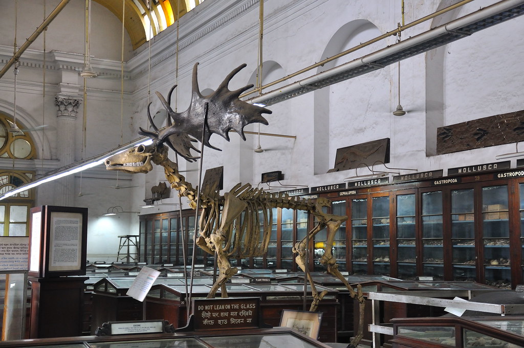 Indian Museum in Kolkata is