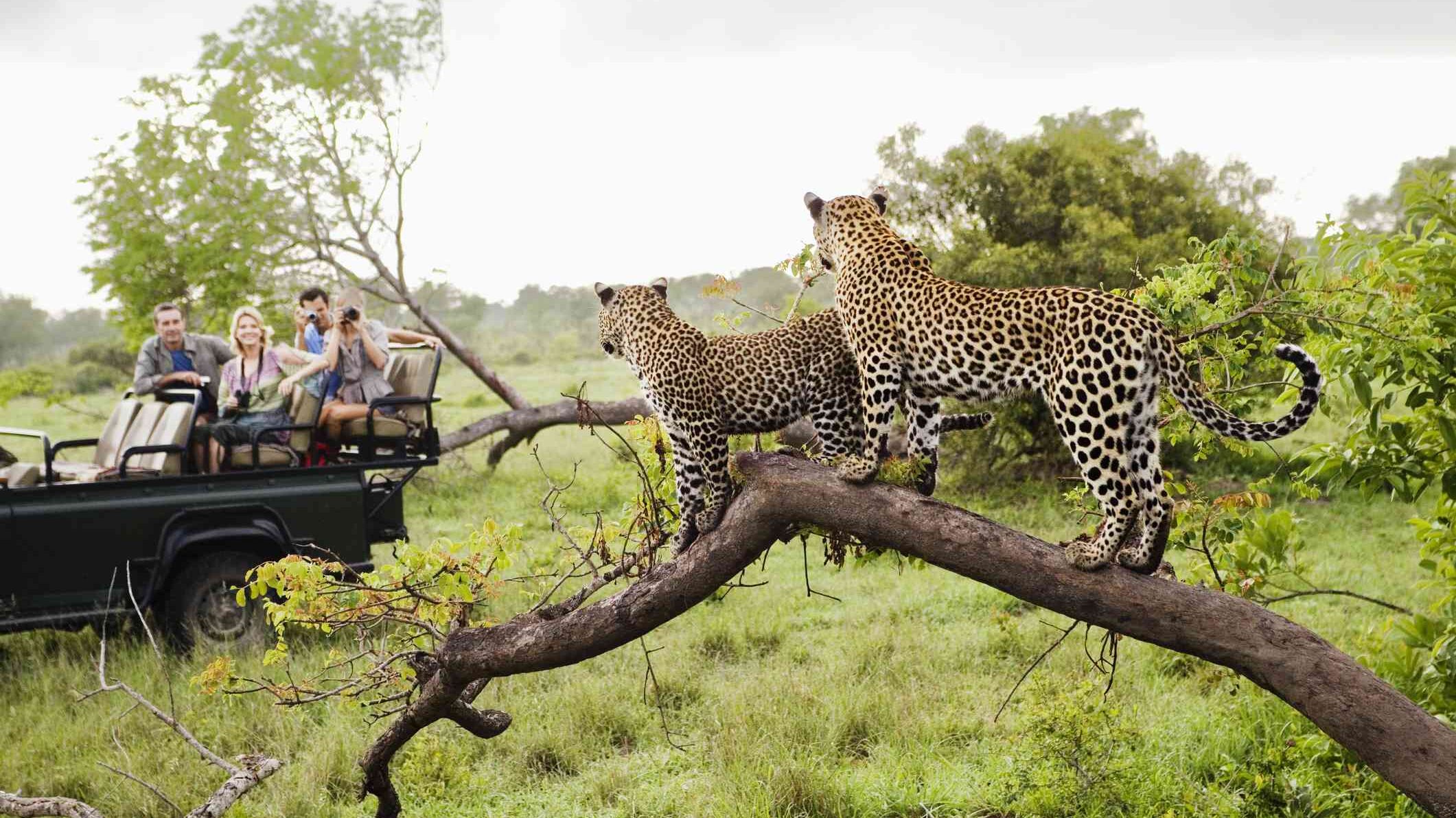 Kruger National Park best place in South Africa
