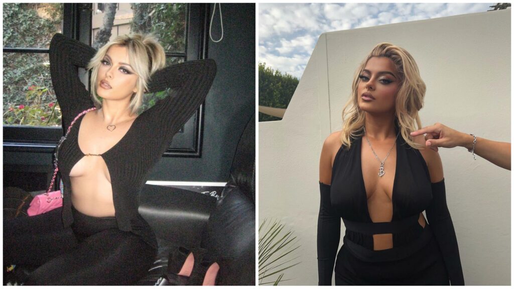 Bebe Rexha is one of the most hottest and sexy female singers in the world. 