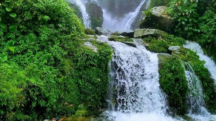 If you are looking for beautiful water fall places to visit in Darjeeling, then you must visit rock gardens.