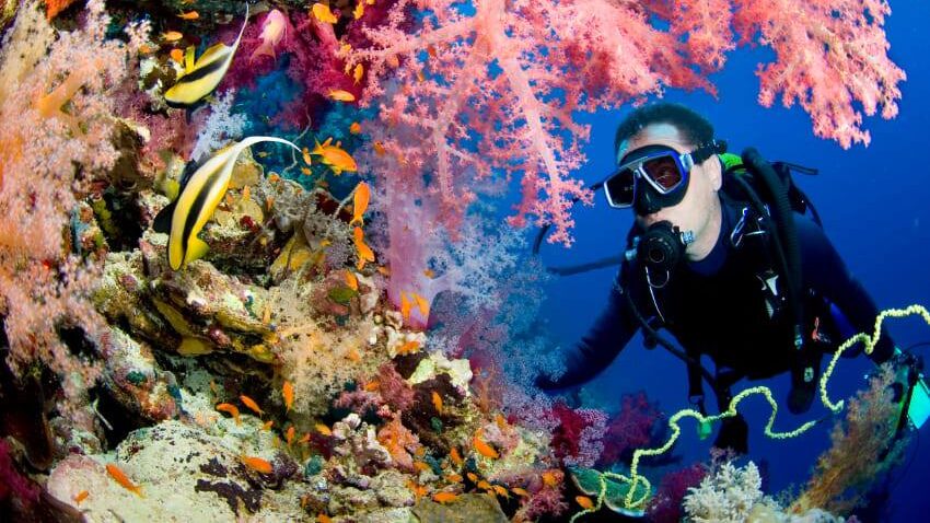 If you love exploring things underwater, then Scuba Diving in Andaman is the best destinations in India for adventure travel.