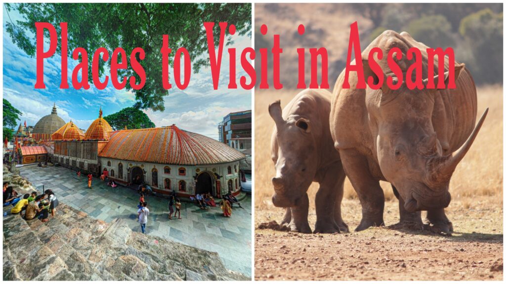 Places to Visit In Assam