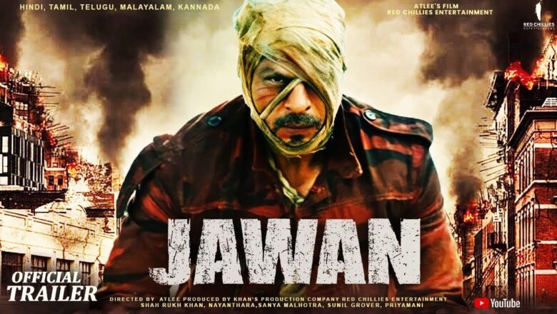 Jawan Collection Day 13 in India and Worldwide