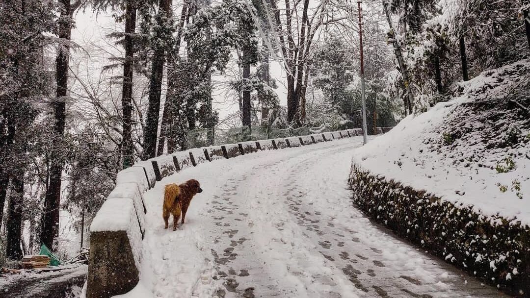 Mussoorie is one of the most visited snowfall places near Delhi.