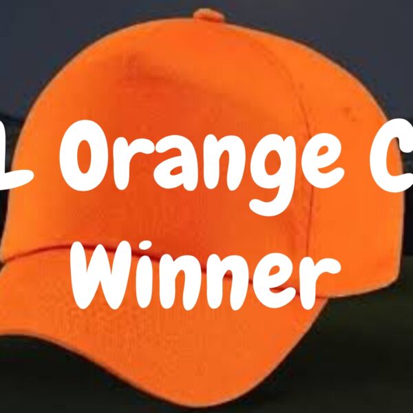 IPL Orange Cap Winners From 2008 to 2024