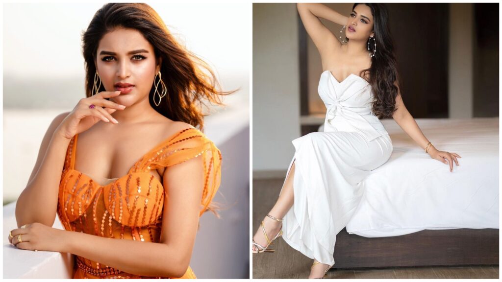 Nidhhi Agerwal is well known Tollywood actresses for her amazing roles and figure. 